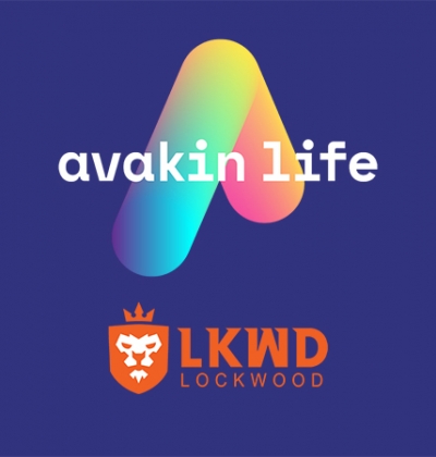 Lockwood Publishing - Avakin Life Game
